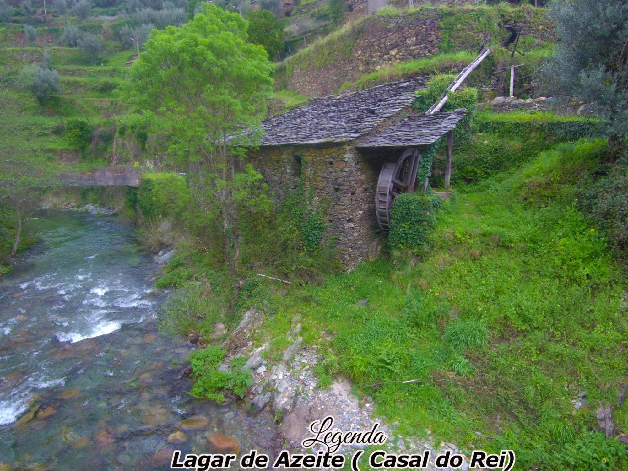 Casa Do Salgueirinho Villa Casal do Rei  Ngoại thất bức ảnh